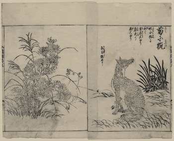 [Foxes and chrysanthemums]. Original from the Library | Free Photo - rawpixel