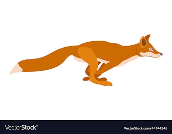foxy