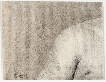 Fragment of a model study | Free Photo - rawpixel