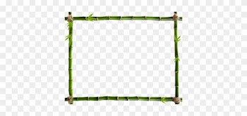 Frame-4002 - Flower Border With White Background