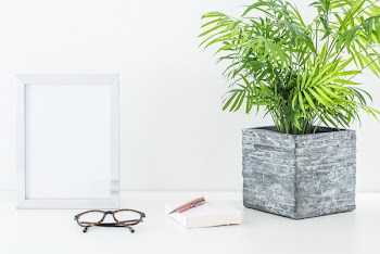 Frame and plant