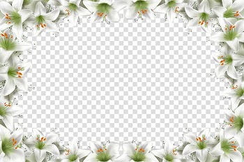 Frame Animation Collage , Floral background transparent background PNG clipart