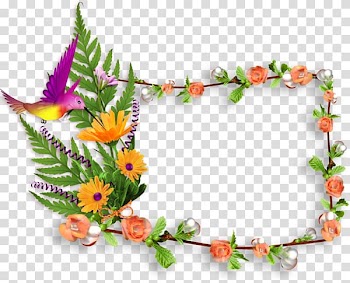 Frame Birthday, Chrysanthemum borders transparent background PNG clipart