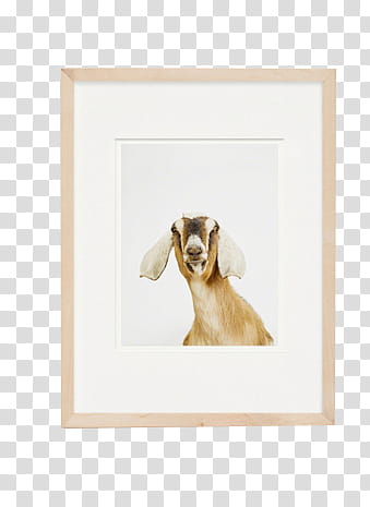 Frame , brown wooden framed brown goat transparent background PNG clipart