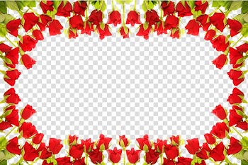 Frame , Circle flower transparent background PNG clipart
