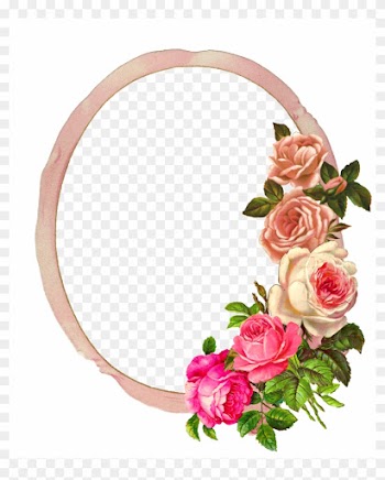 Frame Digital Flower Roses - Pink Rose Photo Frame