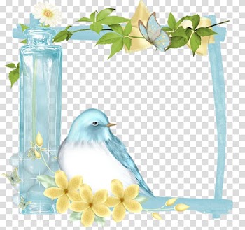 Frame Film frame , Blue bird flowers border transparent background PNG clipart