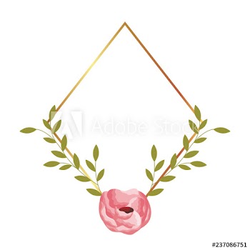 frame flower rose leaves decoration