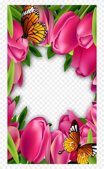 Frame For Photo With Beautiful Pink Roses Psd Png Download - Butterfly Rose Flower