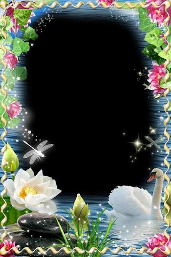 Frame for Photoshop- White swan (free frame psd free frame png ...