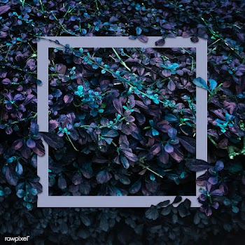 Frame in a bush | Free stock psd mockup - 599786