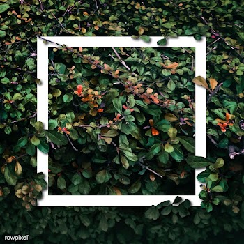Frame in a bush | Free stock vector - 599775