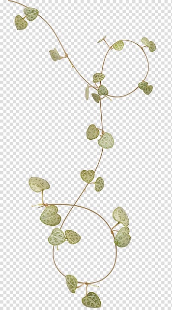Frame Leaf , Leaves ring transparent background PNG clipart