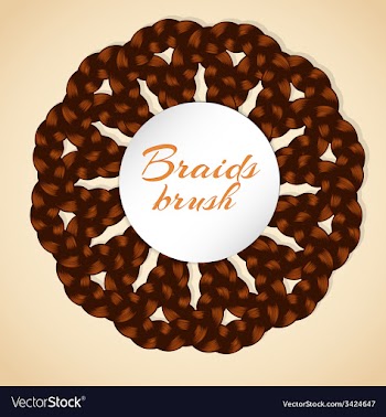 Frame made from realistic brawn braids vector image