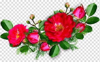 Frame Mobile app , Line drawing floral decoration transparent background PNG clipart