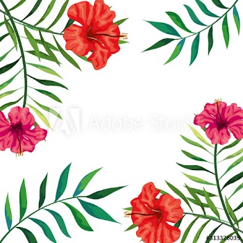 frame of flowers with branches and leafs design