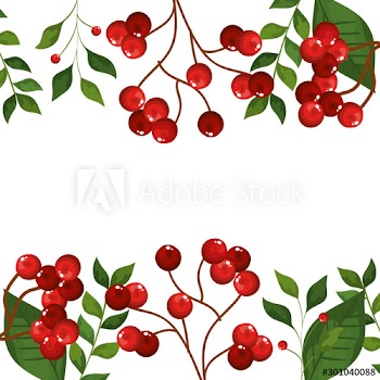 frame of leafs and branches with seeds christmas icons design