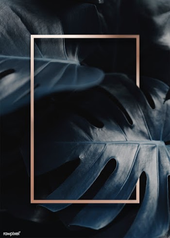 Frame on monstera background | Free stock psd mockup - 599738