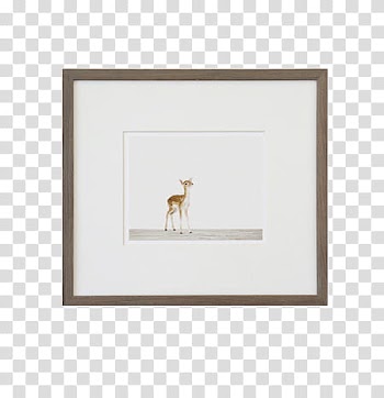 Frame , painting of deer cub transparent background PNG clipart