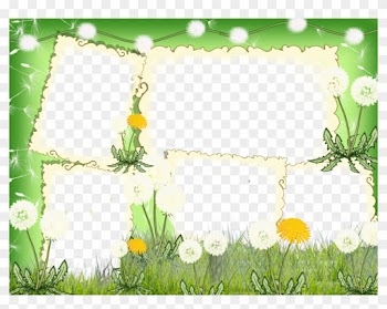 Frame Photo Nature Png