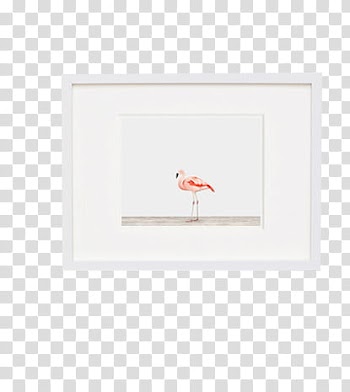 Frame , pink flamingo painting with white frame transparent background PNG clipart