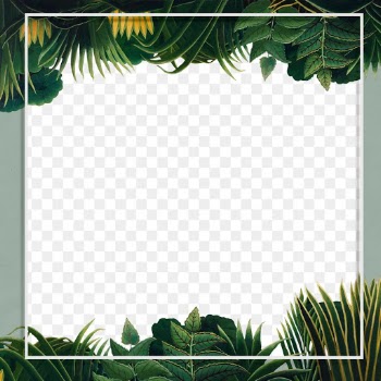 Frame png botanical border, exotic leaves,… | Free stock illustration | High Resolution graphic