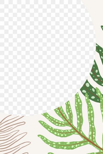 Frame PNG fern tropical leaf botanical… | Free stock illustration | High Resolution graphic