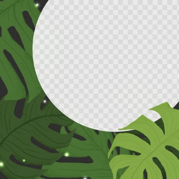 Frame PNG monstera tropical leaf botanical… | Free stock illustration | High Resolution graphic