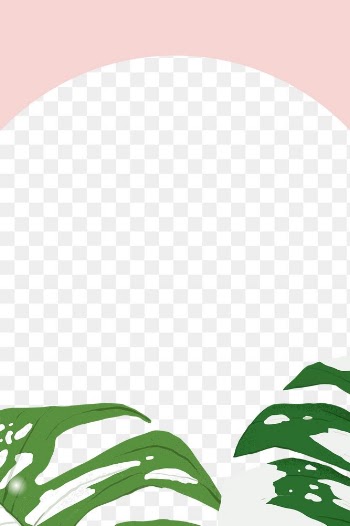 Frame PNG monstera tropical leaf botanical… | Free stock illustration | High Resolution graphic