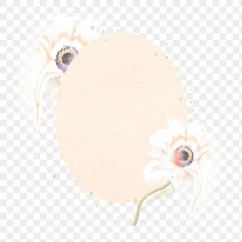 Frame PNG, white anemone flower psychedelic… | Free stock illustration | High Resolution graphic
