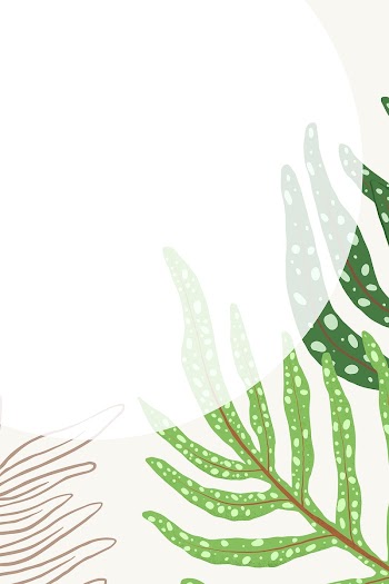 Frame psd fern leaf tropical botanical… | Free stock illustration | High Resolution graphic