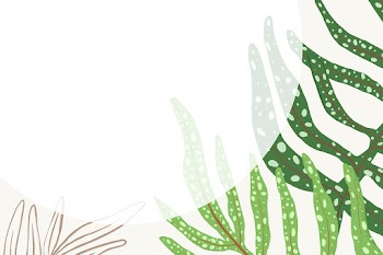 Frame psd fern leaf tropical botanical… | Free stock illustration | High Resolution graphic