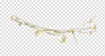 Frame , Rope Conch transparent background PNG clipart
