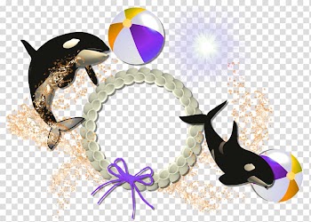 Frame Sea, Dolphin border pattern material transparent background PNG clipart