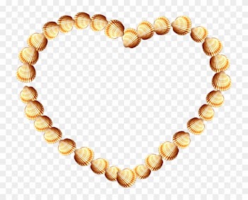 Frame Shells By Lenkinrom - Shells Frame Png