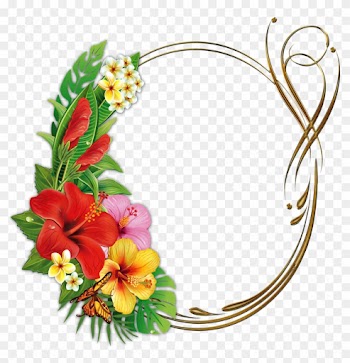Яндекс - Фотки - Frame Tropical Png