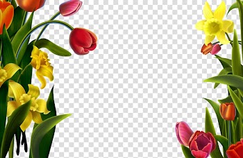 Frame , Tulips decorative lace transparent background PNG clipart