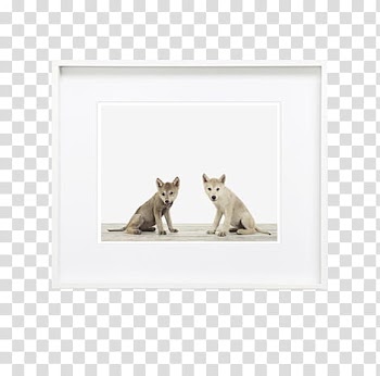 Frame , two gray puppies transparent background PNG clipart