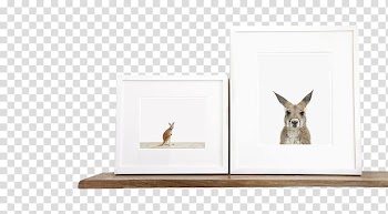Frame , two kangaroo transparent background PNG clipart