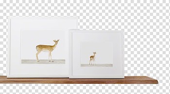 Frame , two white framed deer transparent background PNG clipart