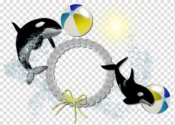 Frame Vecteur Centerblog, dolphin transparent background PNG clipart