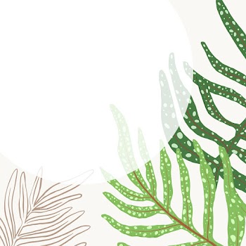 Frame vector fern leaf tropical botanical… | Free stock illustration | High Resolution graphic