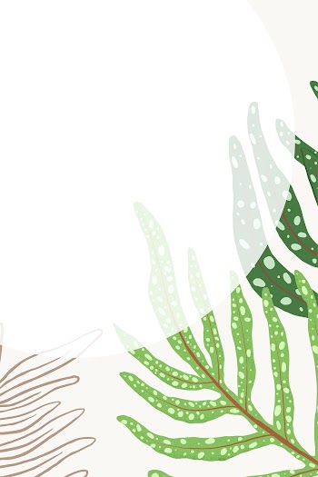 Frame vector fern leaf tropical botanical… | Free stock illustration | High Resolution graphic