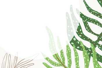 Frame vector fern leaf tropical botanical… | Free stock illustration | High Resolution graphic