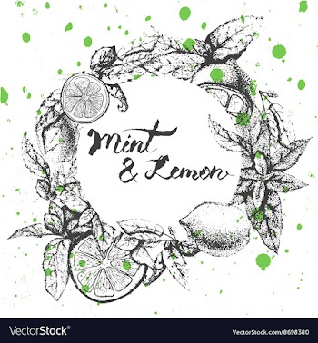 Frame with lemon and mint vector image