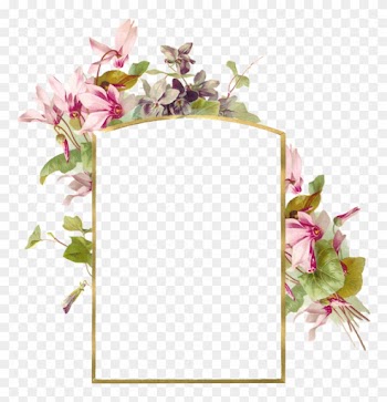 Frame With Pink Flowers - Flower Borders And Frames