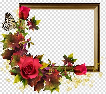 Frame with red rose flower accent template , Rose frame Flower, rose transparent background PNG clipart