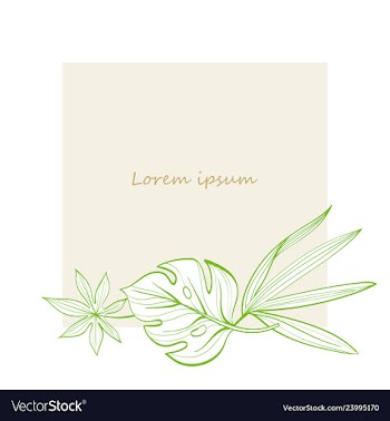 Frame with tropical leaves postcard hand-drawn vector image