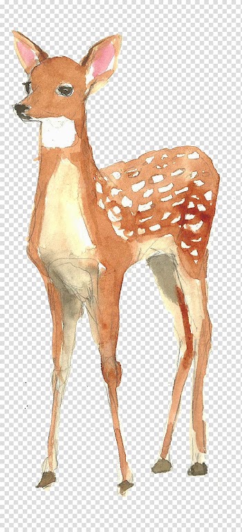 Framed Deer Kindergarten : animals Watercolor painting Poster, Hand-painted watercolor deer transparent background PNG clipart