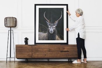 Framed stag, wild animal aesthetic | Free Photo - rawpixel